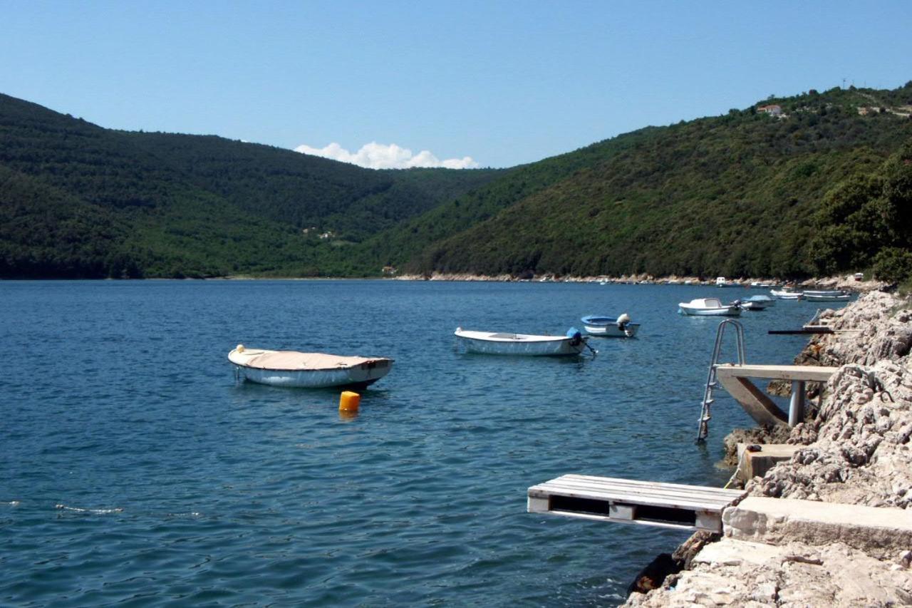 Apartments By The Sea Duga Luka - Prtlog, Labin - 2335 Zewnętrze zdjęcie
